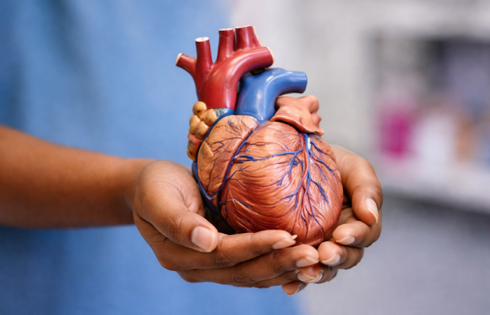 Cardiology